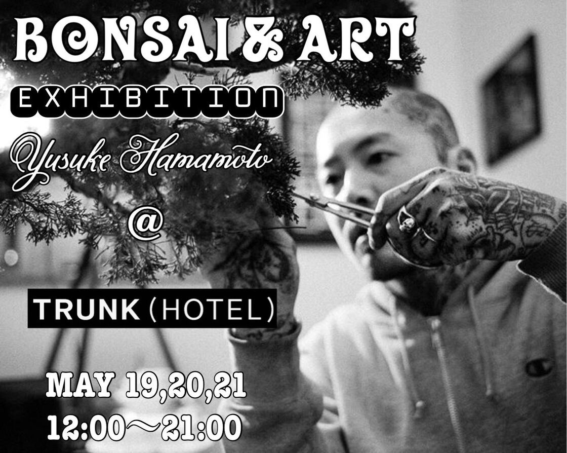 BONSAI & ART EXHIBITION